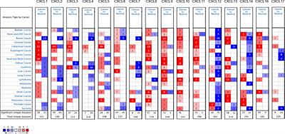 CXC Chemokines as Therapeutic Targets and Prognostic Biomarkers in Skin Cutaneous Melanoma Microenvironment